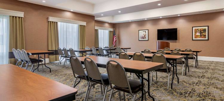 佛伦伦萨I-95舒适套房酒店(Comfort Suites Florence I-95)图片