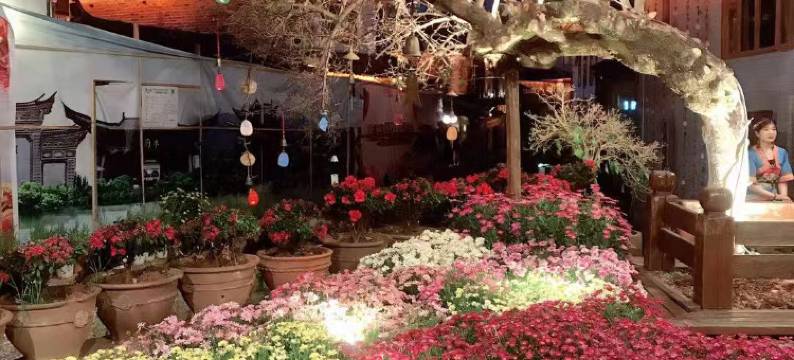 梦回小巷·Wynd雪山溪语丨花园庭院(丽江古城南门店)图片