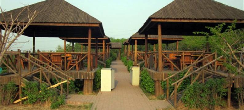 洛阳银杏仙庄图片