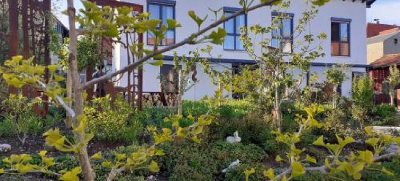 Gästehaus 26 I 2图片