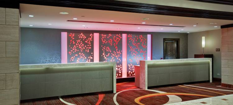 芝加哥奥黑尔罗斯蒙特希尔顿酒店(Hilton Rosemont Chicago O'Hare)图片