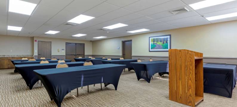 舒适套房酒店-弗雷德里克斯堡南(Comfort Suites Fredericksburg South)图片