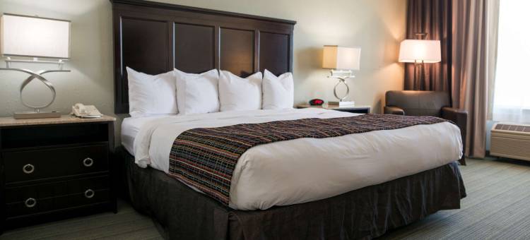 埃芬汉姆丽怡酒店(Country Inn & Suites by Radisson, Effingham, IL)图片