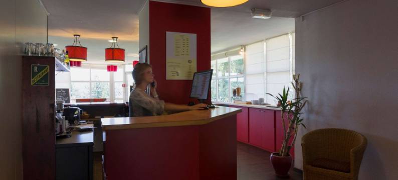 蒂勒原生酒店(The Originals Access, Hôtel Tulle)图片