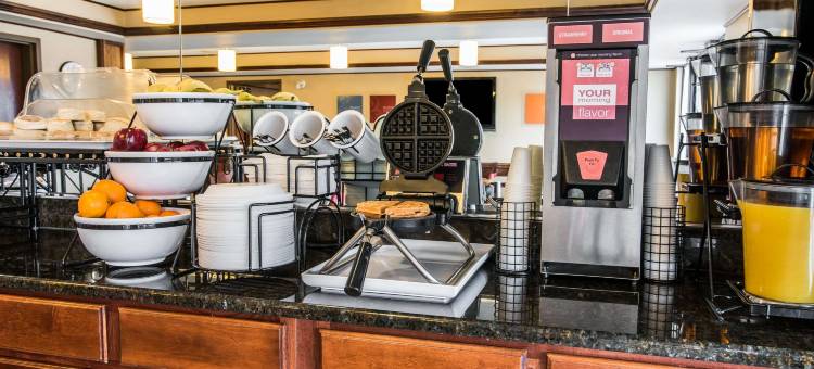 凯艺套房酒店(Quality Inn & Suites)图片