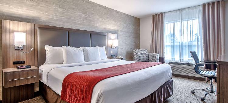 南部舒适酒店(Comfort Inn & Suites South)图片