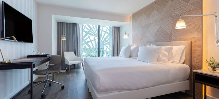 梅尼达蒙特霍大道酒店-NH精装(NH Collection Merida Paseo Montejo)图片