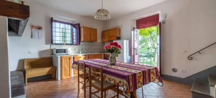 托里亚诺酒店(Agriturismo Il Torriano)图片