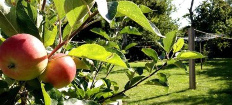 梅瑞赫经济型酒店(客房&早餐)(Myrehøj Bed & Breakfast)图片