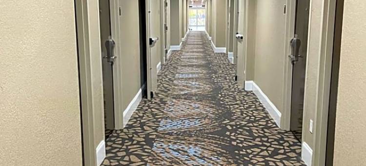 尼斯维尔-德斯廷贝斯特韦斯特酒店(Best Western Niceville-Destin)图片