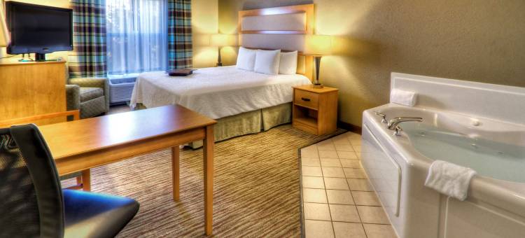 卡拉马祖奥施蒂莫欢朋酒店及套房(Hampton Inn & Suites Kalamazoo/Oshtemo)图片