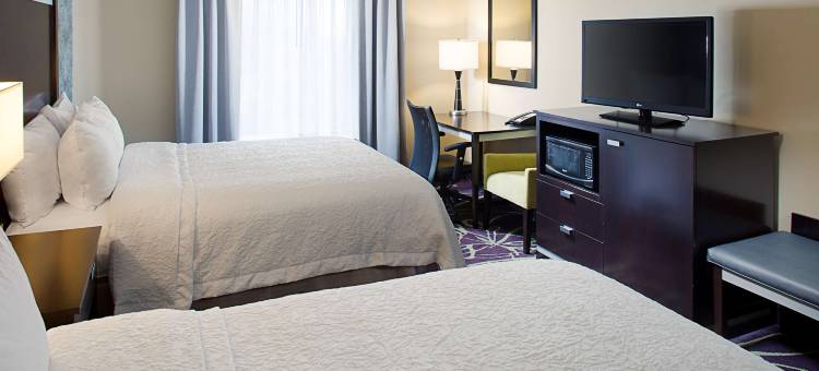 兰辛西部欢朋套房酒店(Hampton Inn & Suites Lansing West)图片