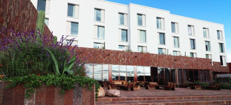 圣米格尔德阿连德阿尔博尔酒店，希尔顿启缤精选(Albor San Miguel de Allende, Tapestry Collection by Hilton)图片