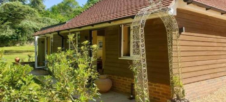 Little Vintners by Inspirestays-Com图片