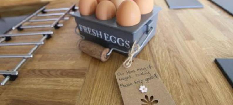 春木牧羊人小屋酒店(Springwood Shepherd Huts Glamping York)图片