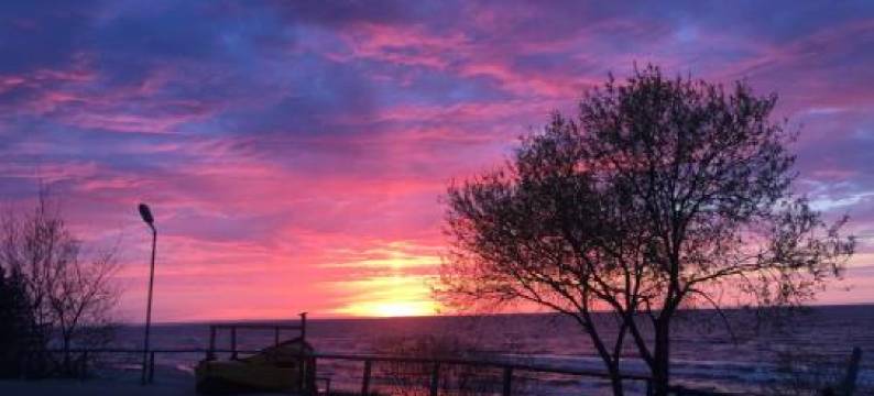 Aquarium - Komfortowe Pokoje Nad Samym Morzem图片