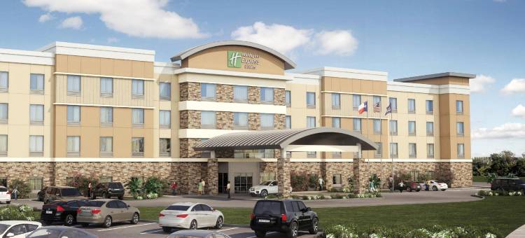 南普拉特维尔智选假日套房酒店(Holiday Inn Express & Suites Waco South)图片