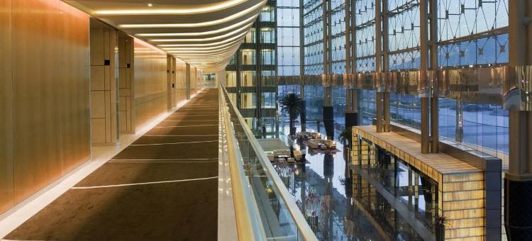 美伊丹酒店(The Meydan Hotel)图片