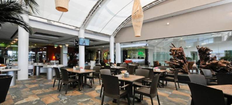 伊拉普阿托假日酒店(Holiday Inn IRAPUATO by IHG)图片