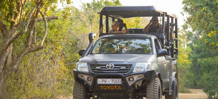 荒野海岸露营度假村 - 罗莱夏朵(Wild Coast Tented Lodge - Relais and Chateaux - All Inclusive)图片