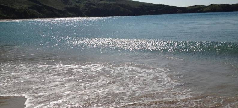 拉斯罗卡斯酒店(Las Rocas)图片