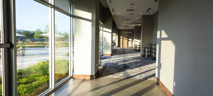 IMG学院传统酒店(Legacy Hotel at Img Academy)图片