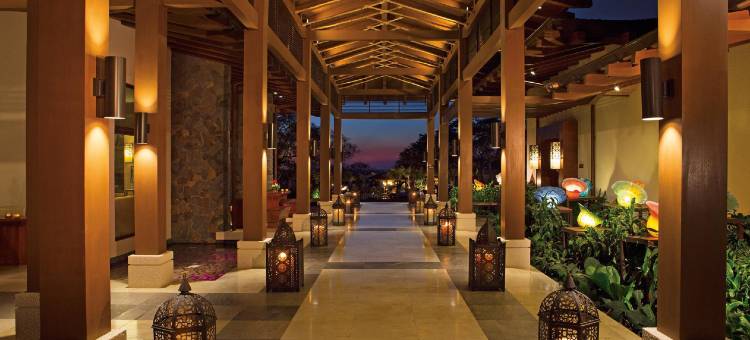 哥斯达黎加潮汐梦幻酒店 - 可选全包式(Dreams Las Mareas Costa Rica - Optional All Inclusive)图片