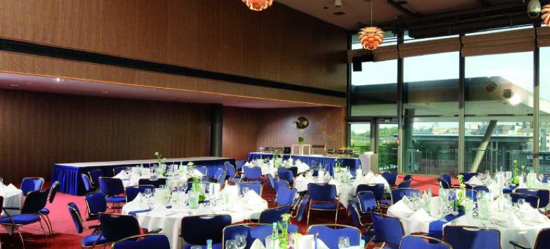 马里添酒店-德雷斯顿(Maritim Hotel Dresden)图片