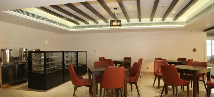 斯堪达宫殿酒店(Hotel Skanda Palace)图片