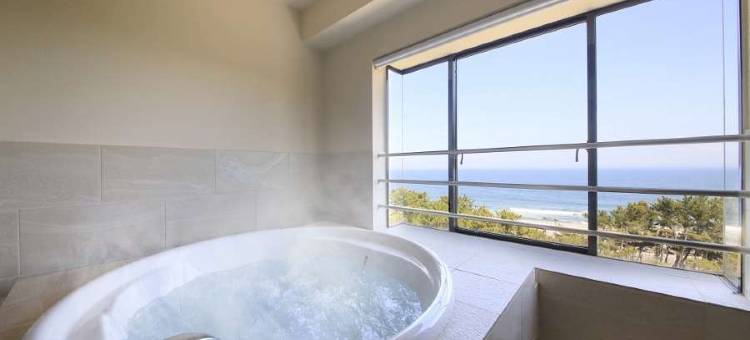大洗公园酒店(Oarai Park Hotel)图片