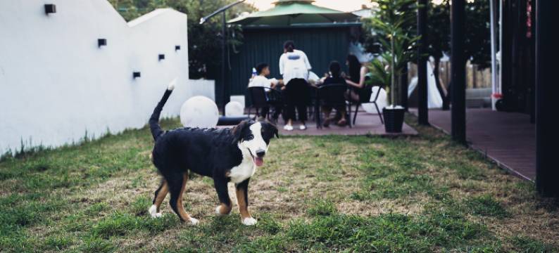 酒乐壹号宠物友好音乐酒吧民宿(黄马路1号分店)图片