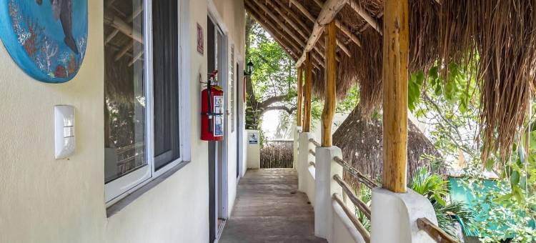 绿洲巴卡拉尔套房酒店(Hotel & Suites Oasis Bacalar)图片