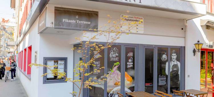 罗特豪斯酒店(Hotel Rothaus Luzern & Peruvian Culinary Art)图片