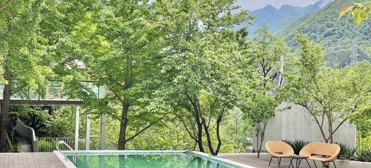 Ginkgo Resort银杏宿图片