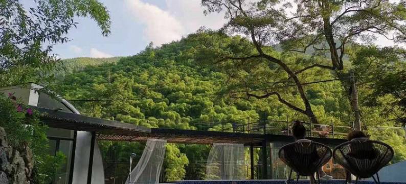 莫干山趣舍一棵树酒店图片