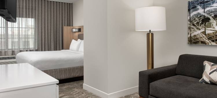 亚特兰大比福德 - 格鲁吉亚州购物中心 SpringHill Suites 酒店(SpringHill Suites Atlanta Buford/Mall of Georgia)图片