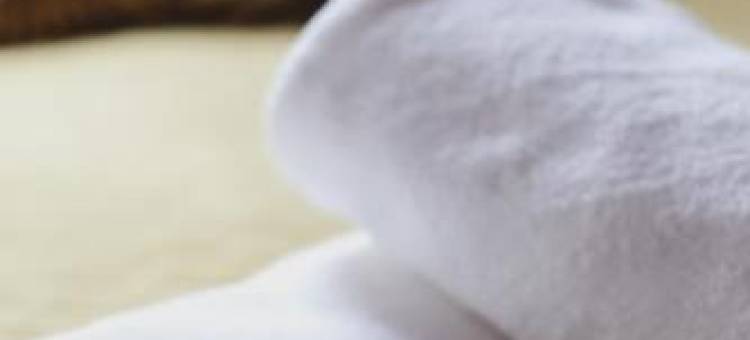 Willa Koszysta图片