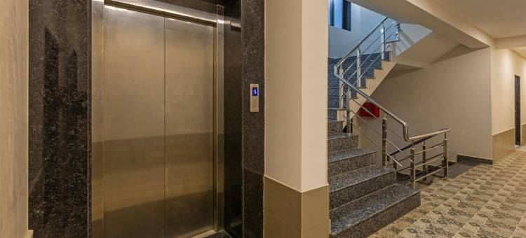 Treebo 奥斯卡(Treebo Oscar)图片