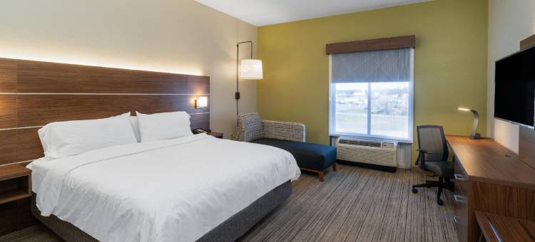 智选假日套房酒店塔拉迪加(Holiday Inn Express & Suites TALLADEGA by IHG)图片