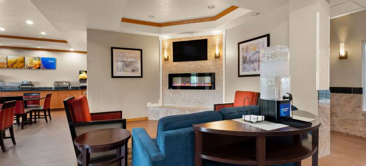 舒适套房旅馆(Comfort Inn & Suites)图片