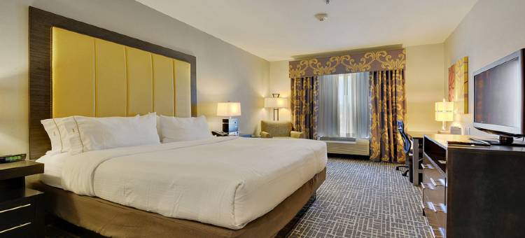 智选假日套房酒店冈萨雷斯(Holiday Inn Express & Suites Gonzales)图片