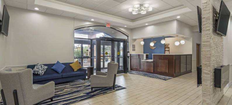 曼德林 - 弗农希尔斯舒适套房酒店(Comfort Inn & Suites Mundelein-Vernon Hills)图片