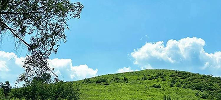 南洋的天空公寓(洛阳路分店)图片