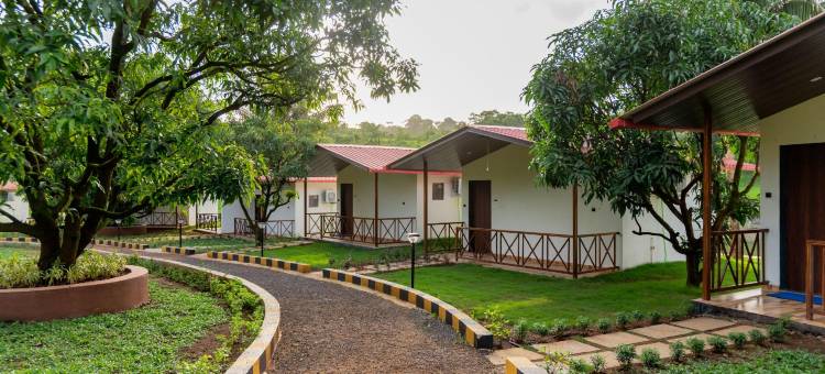 Mangozzz Magical World图片