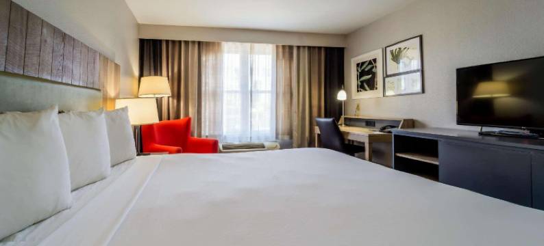 里士满I-95南丽怡酒店(Country Inn & Suites by Radisson, Richmond I-95 South, VA)图片