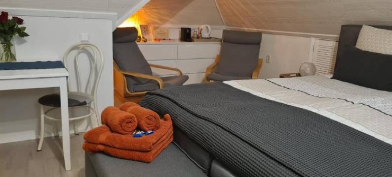 B&B de Loenense Bossen图片