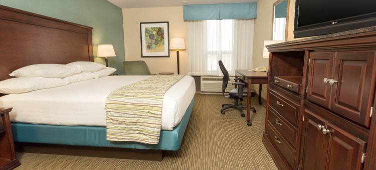 特洛伊酒店(Troy Inn)图片