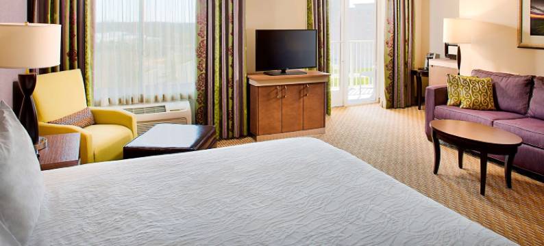 哈特福德北布拉德利国际机场希尔顿花园酒店(Hilton Garden Inn Hartford North/Bradley Int'l Airport)图片