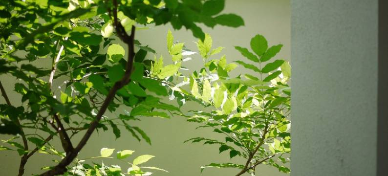 隙房东momo公寓(中山中路279弄分店)图片