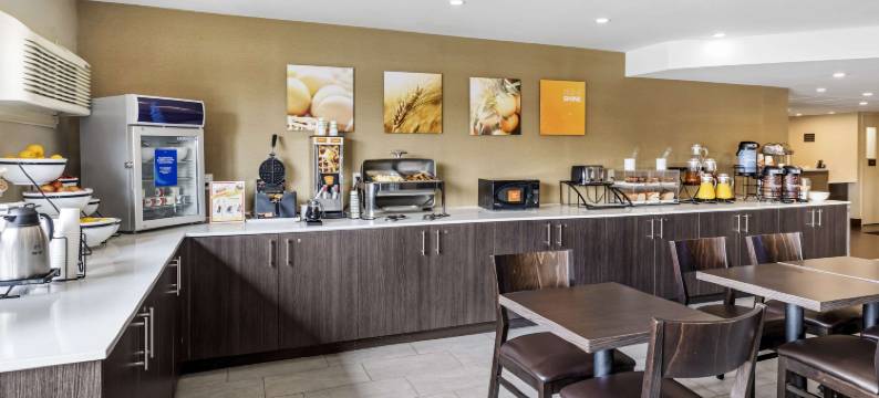 温莎舒适酒店(Comfort Inn)图片